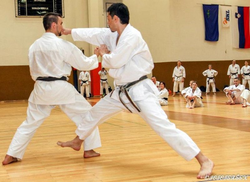 Karateiste čaka še veliko aktivnosti pred koncem šolskega leta 2012/2013 Karateiste čaka še veliko aktivnosti pred koncem šolskega leta 2012/2013