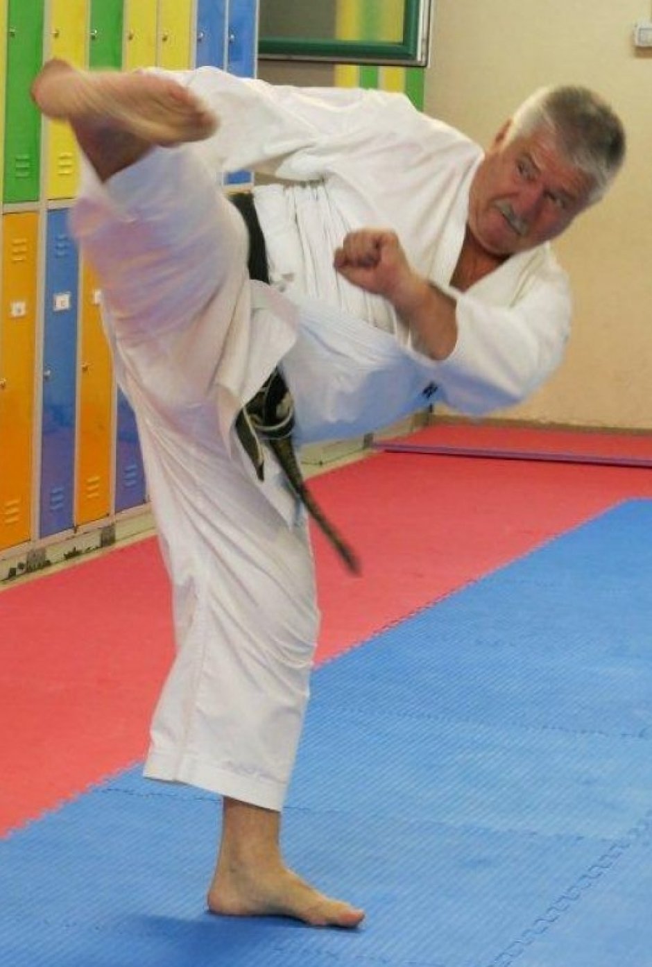 Mentorski trening 2017